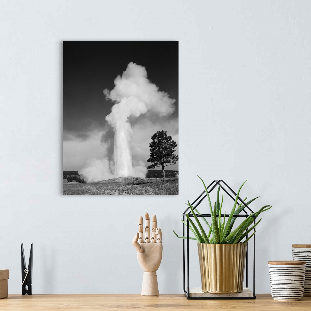 A bohemian room featuring 1960's Old Faithful Geyser Erupting Yellowstone National Park.