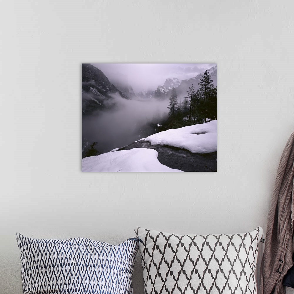 A bohemian room featuring California, Yosemite National Park, Fog over the forest