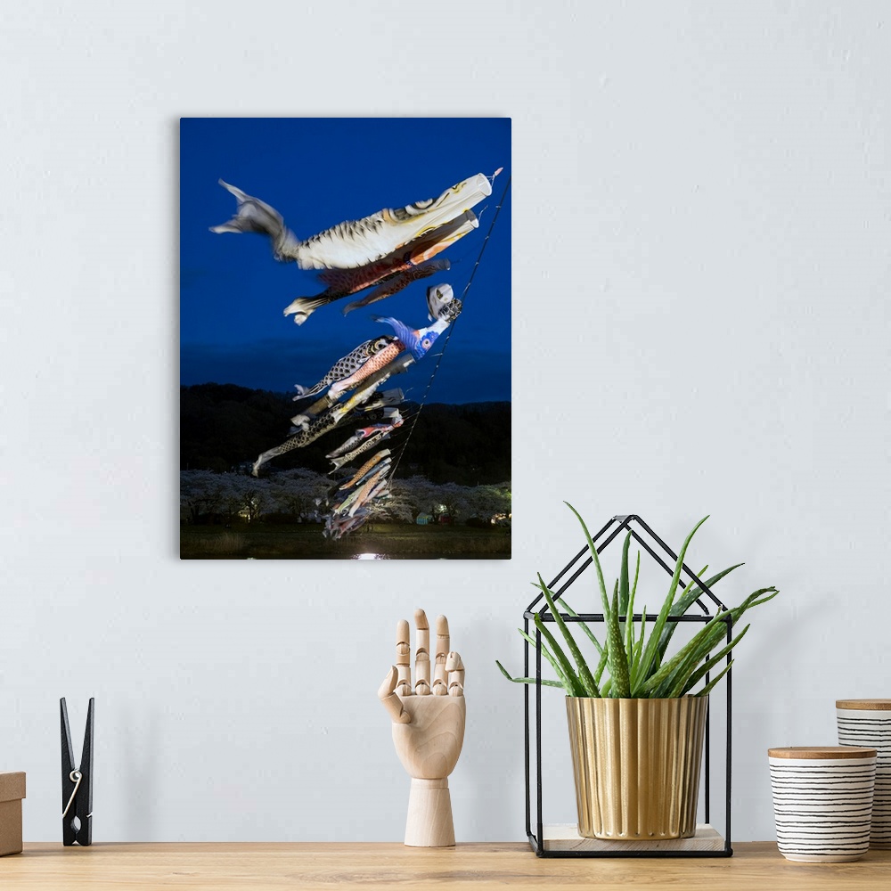 A bohemian room featuring Children's' Day flying fish over river, Kitakami River, Kitakami, Iwate Prefecture, Japan