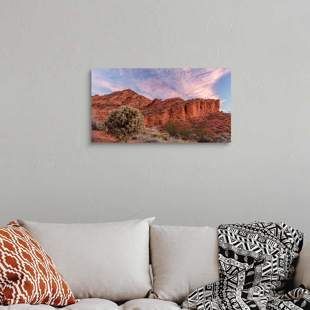 A bohemian room featuring Cholla cactus and red rocks at sunrise, St. George, Utah, USA