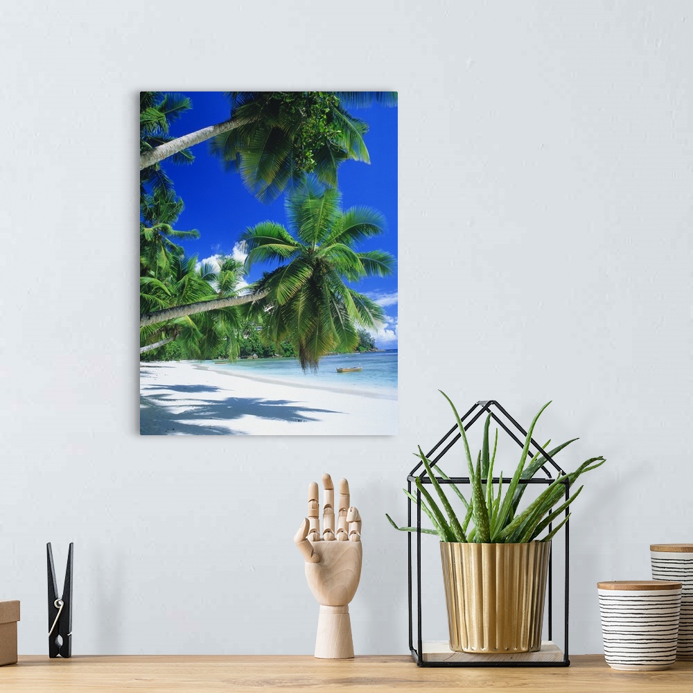 A bohemian room featuring Photograph of  shoreline covered in palm trees with small boat in the water.