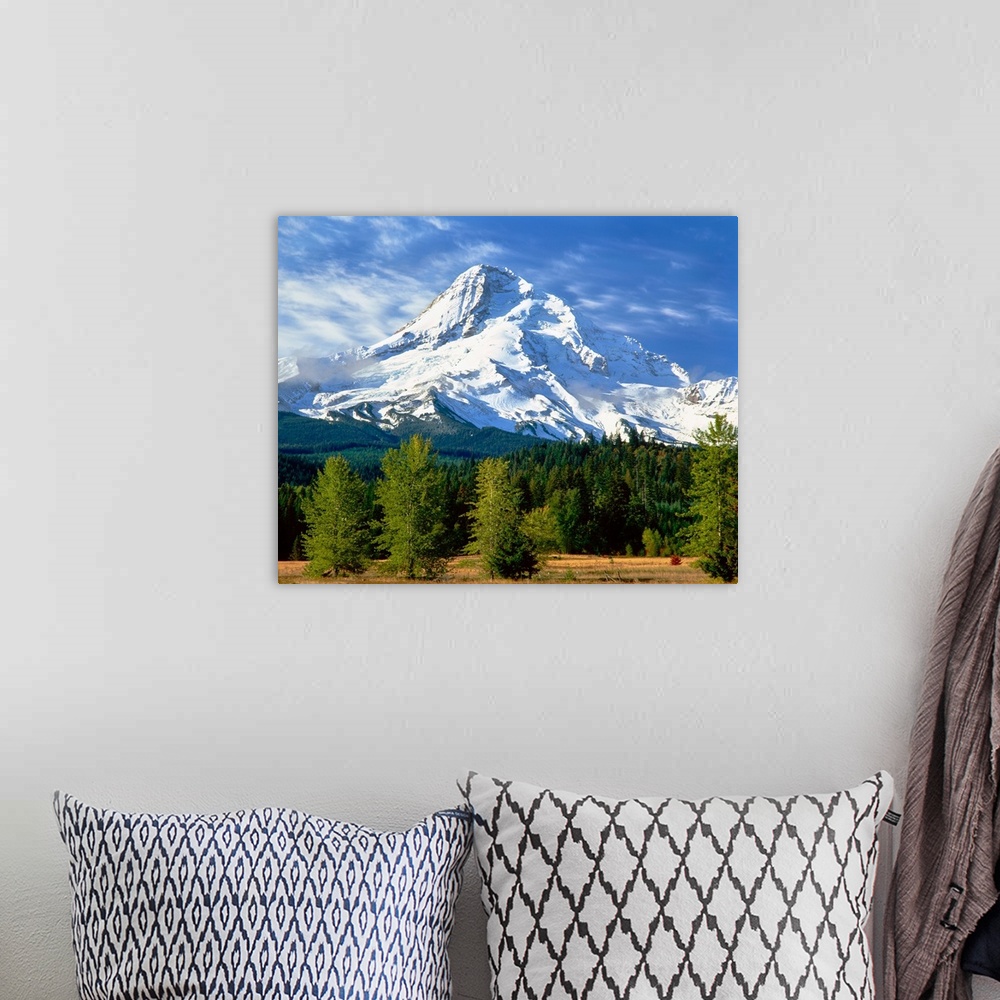 A bohemian room featuring Trees with snowcapped mountain range in the background, Mt Hood, Upper Hood River Valley, Hood Ri...