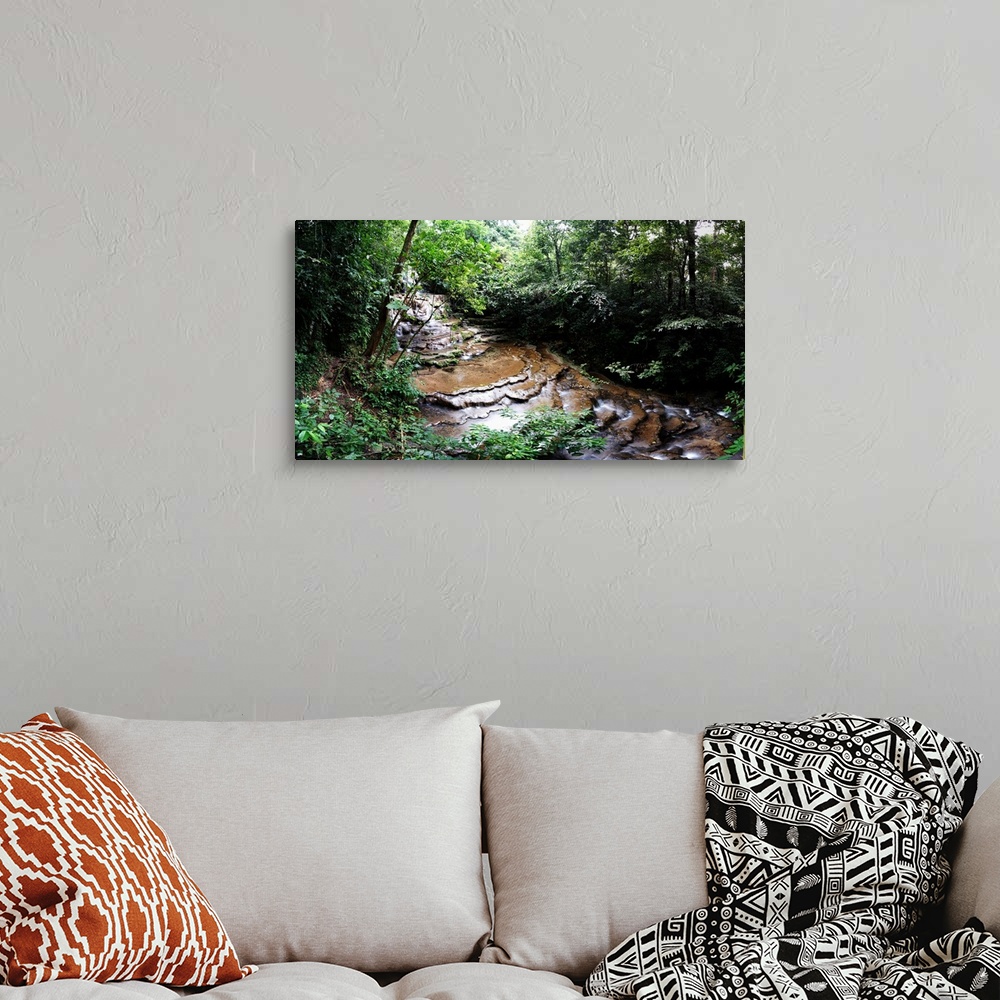 A bohemian room featuring Stream flowing through a forest, Palenque, Chiapas, Mexico.