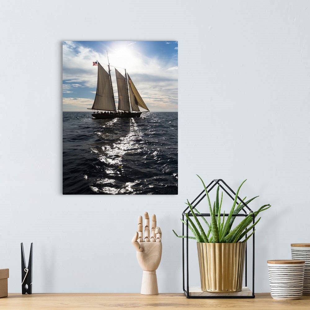A bohemian room featuring Tourists on sailboat in the Pacific Ocean, Dana Point Harbor, Dana Point, Orange County, Californ...
