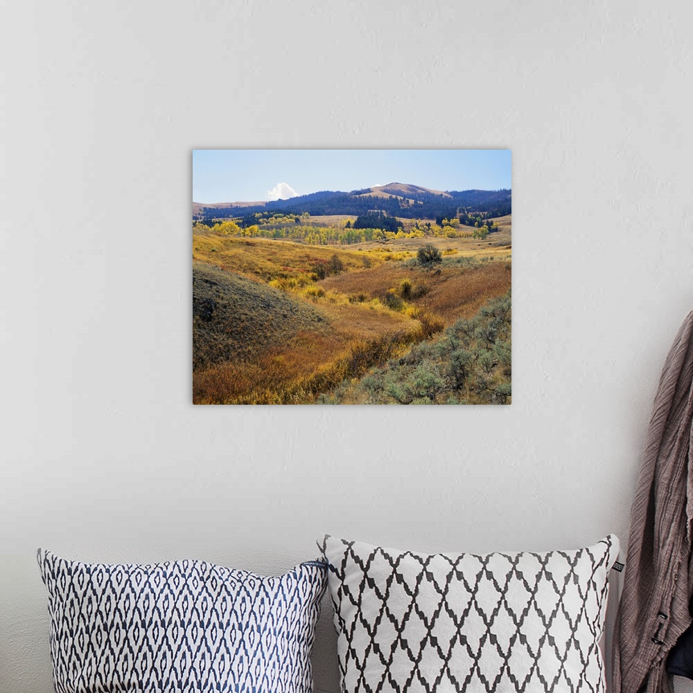 https://airs.art-api.com/rm/?image=https%3A%2F%2Fstatic.greatbigcanvas.com%2Fimages%2Fflat%2Fpanoramic-images%2Fwyoming-yellowstone-national-park-lamar-valley-panoramic-view-of-a-landscape%2C89258.jpg%3Fmw%3D600%26mh%3D600%26max%3D600&group=bohemian&iw=20&ih=16&maxSize=1000