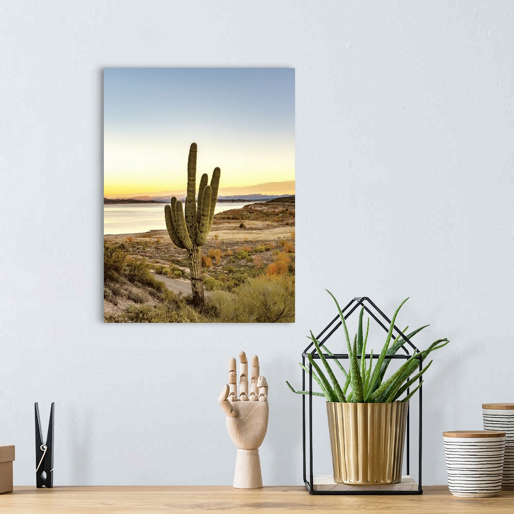 Desert Cactus Sunset Wall Art, Canvas Prints, Framed Prints, Wall Peels ...