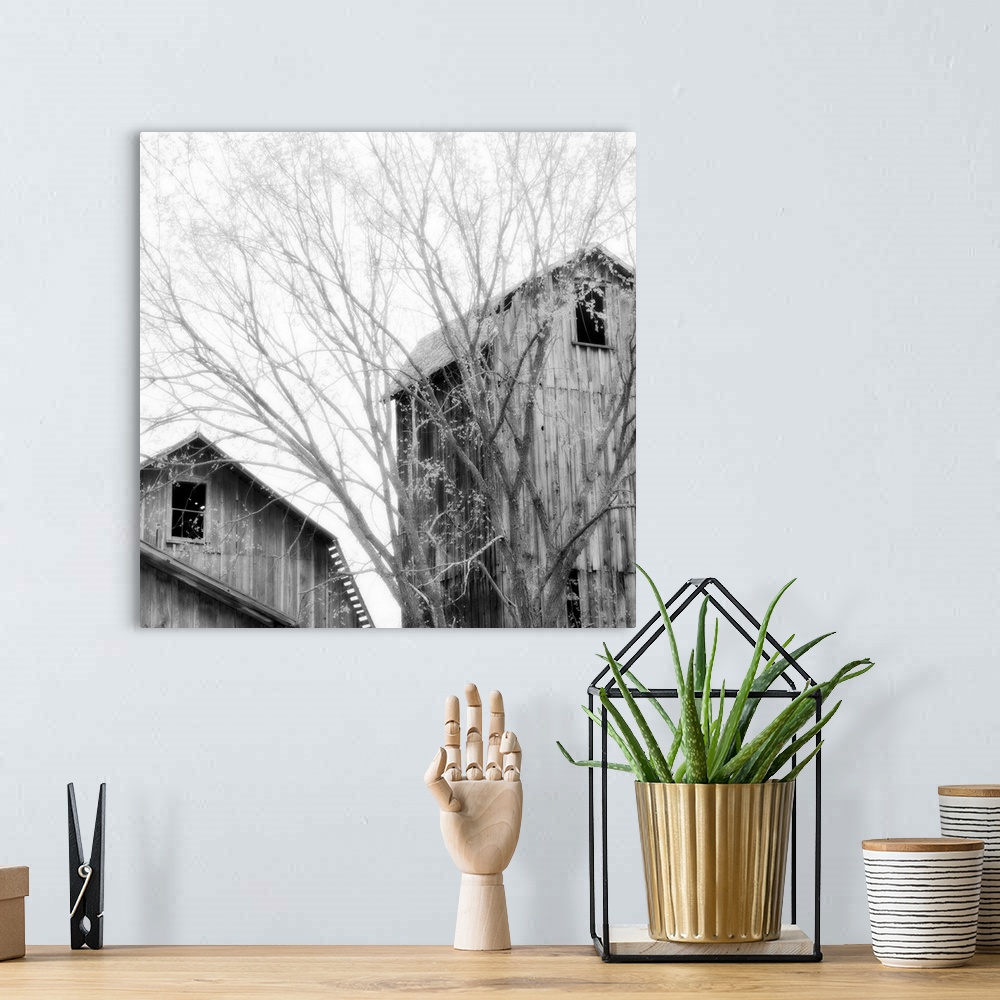 A bohemian room featuring A black and white image of old, weathered barns with blurred clouded sky.