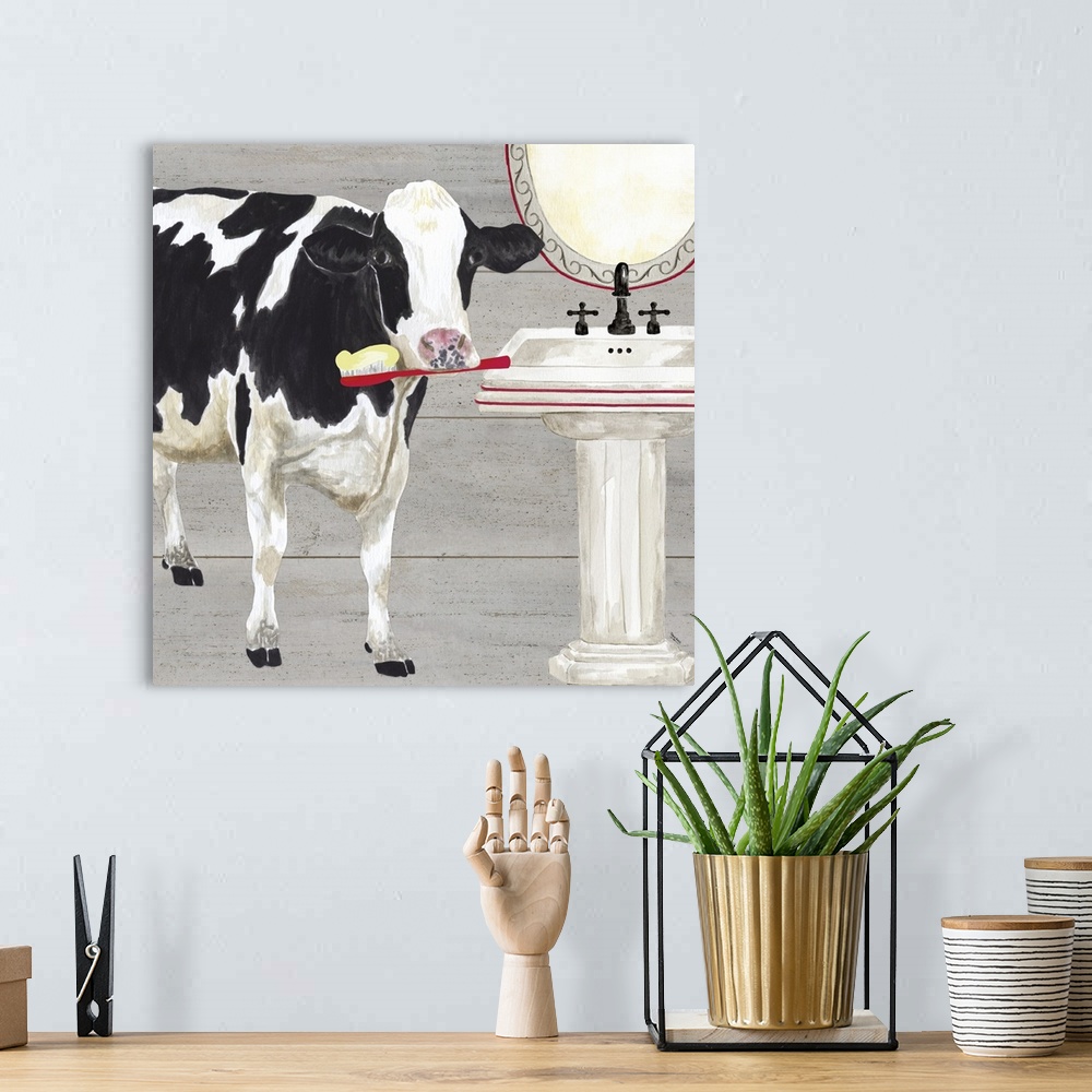 A bohemian room featuring A black and white cow holding a toothbrush at a bathroom sink against of grey wood background.