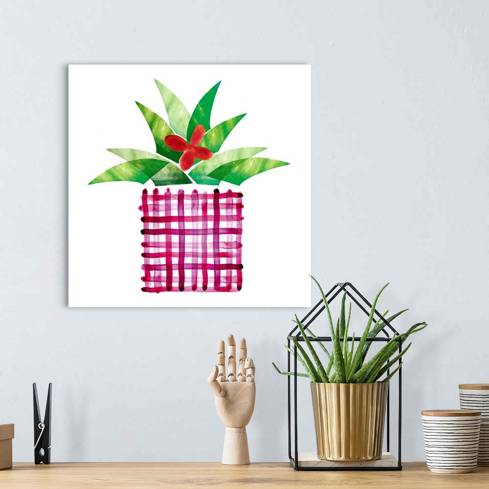 A bohemian room featuring Colorful painting in a simplest style of a blooming cactus in a pink plaid pot on a white backgro...