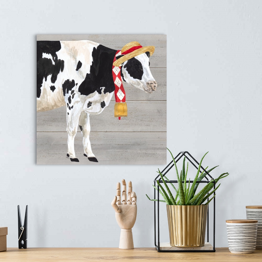 A bohemian room featuring A black and white cow with a straw hat and bell around her neck against of grey wood background.