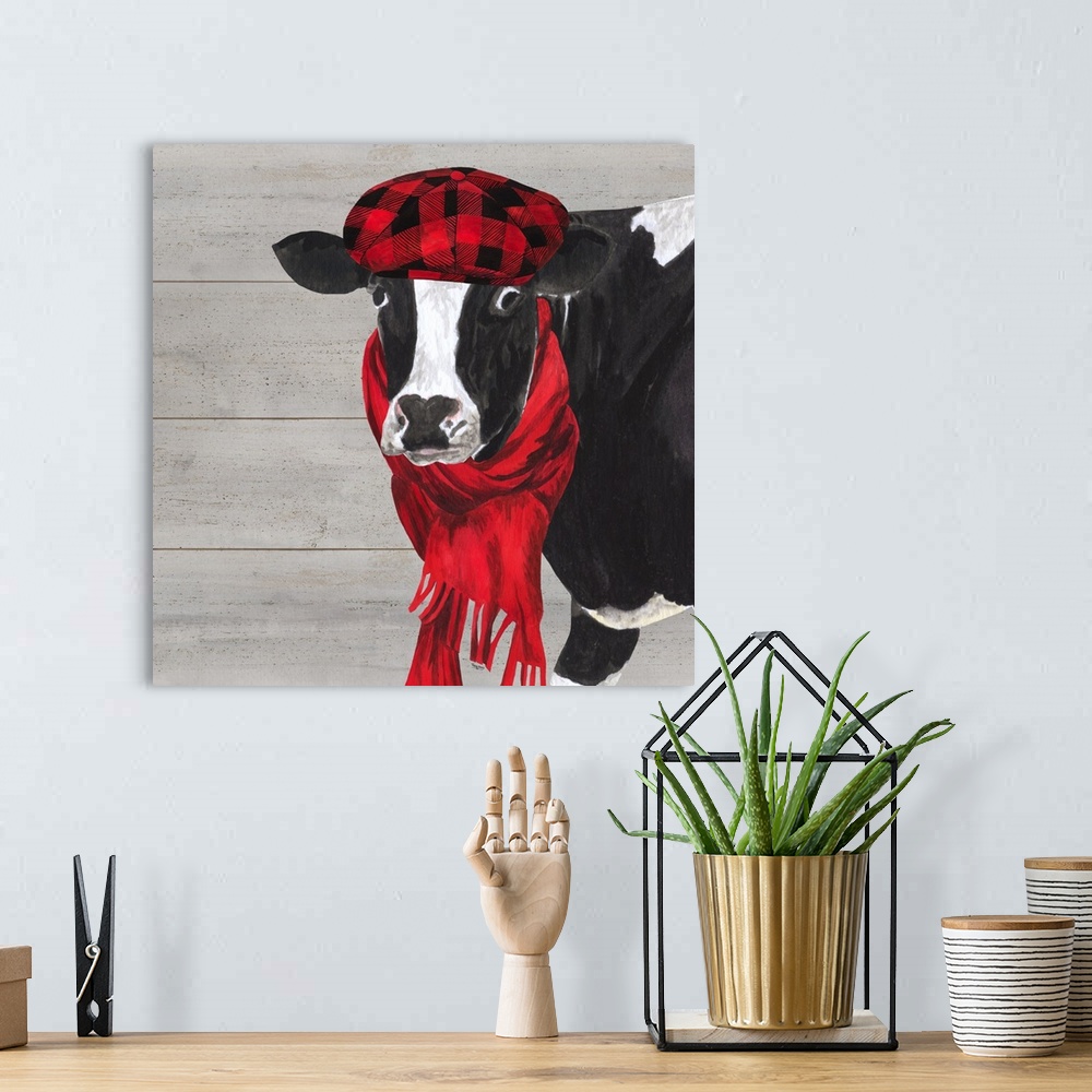 A bohemian room featuring A black and white cow with a hat and scarf around her neck against of grey wood background.