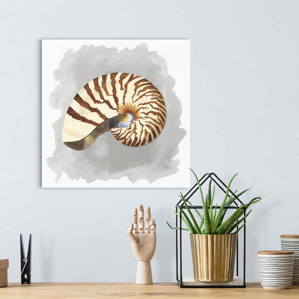 A bohemian room featuring Square artistic painting of a shell with a gray and white background.