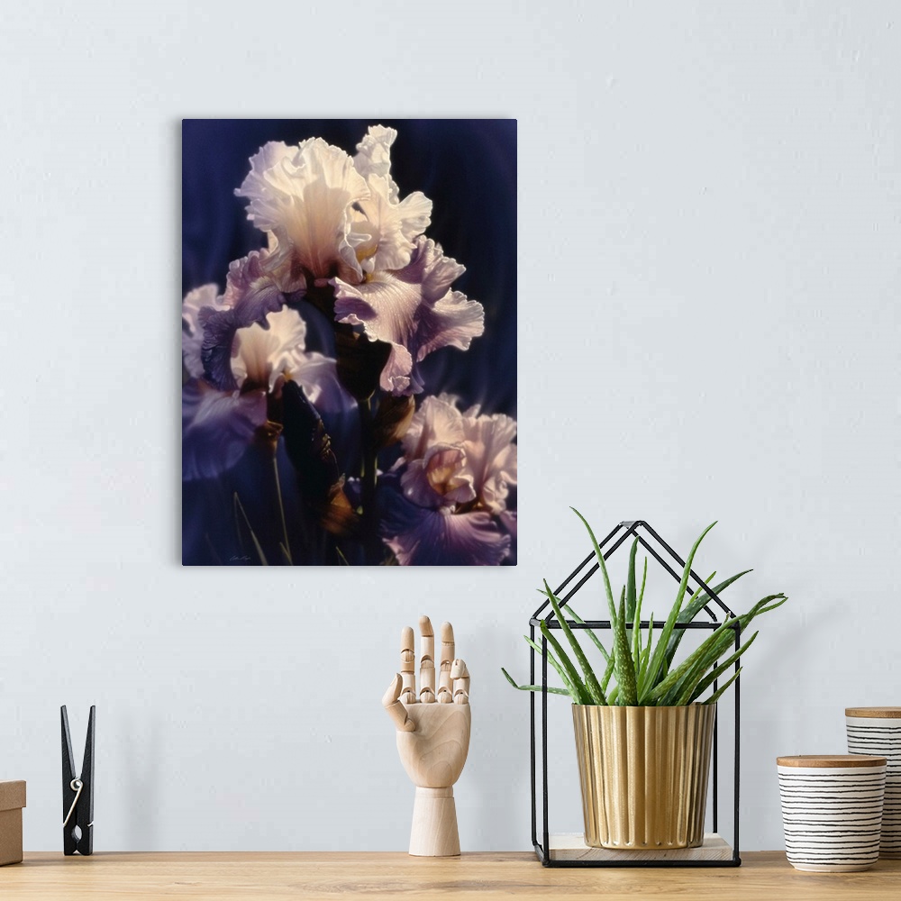 Purple Iris Wall Art, Canvas Prints, Framed Prints, Wall Peels | Great ...