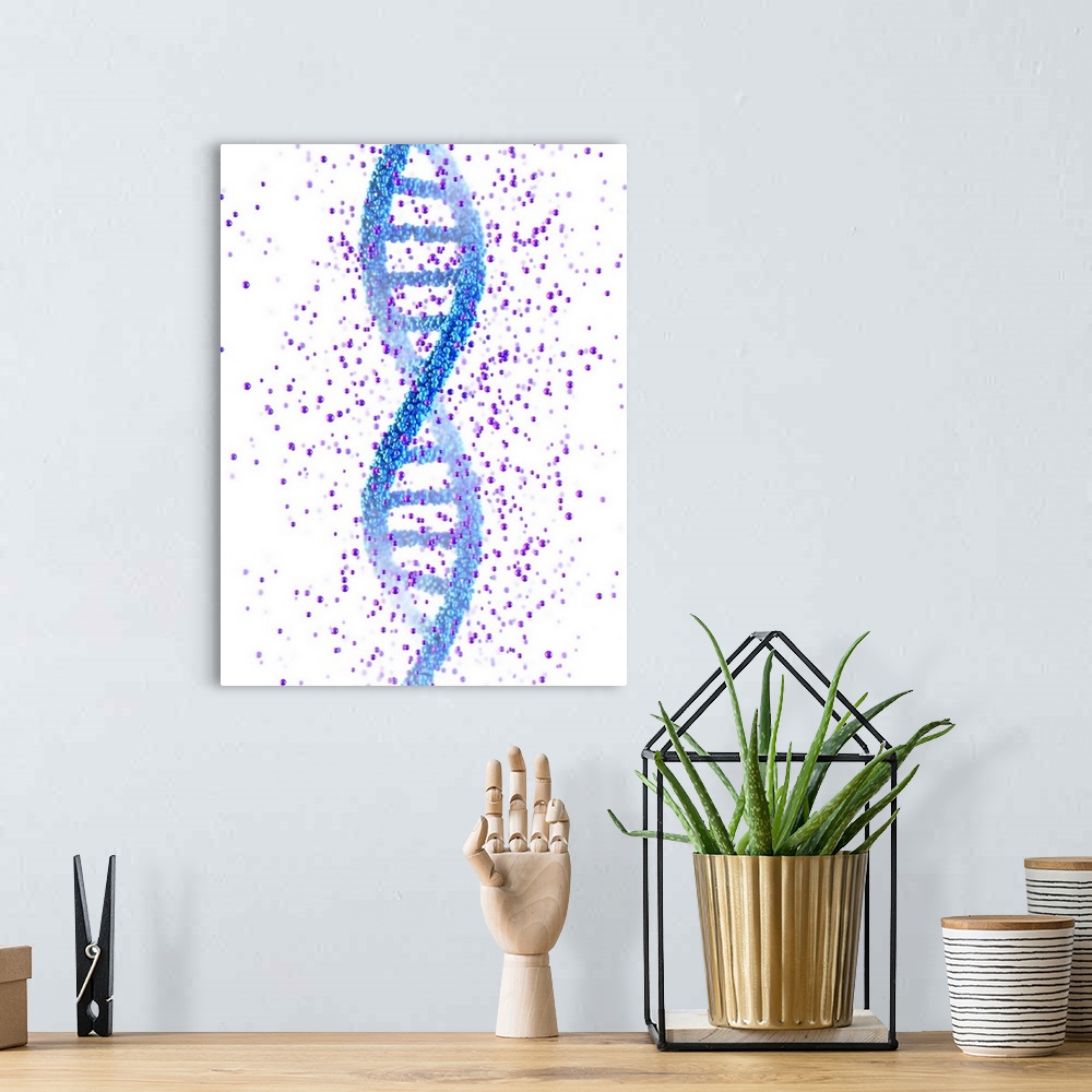 A bohemian room featuring DNA molecule. Computer illustration of a double stranded DNA (deoxyribonucleic acid) molecule. DN...
