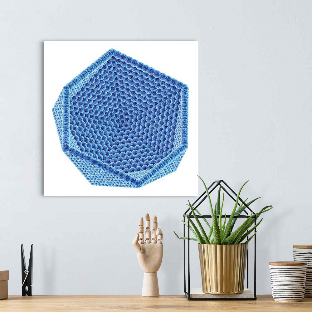 A bohemian room featuring Computer artwork of the inner surface of an icosahedral virus capsid. The capsid is the protein s...