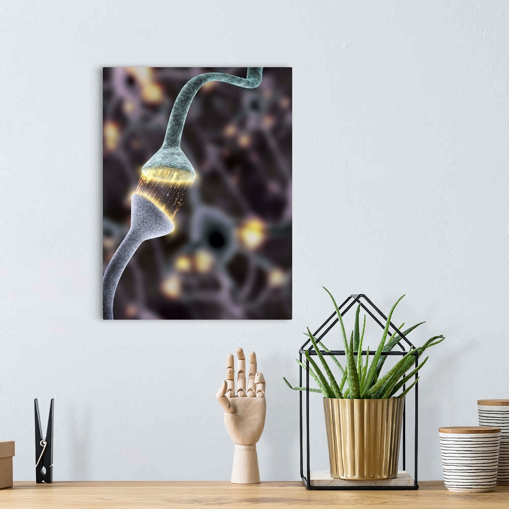 A bohemian room featuring Nerve synapse. Computer artwork of of a junction, or synapse, between two nerve cells (neurons). ...
