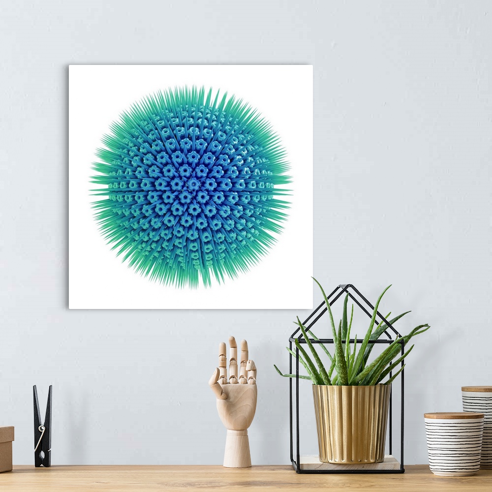 A bohemian room featuring Virus particle, computer illustration. Virus particles (virions) consist of an outer protein coat...