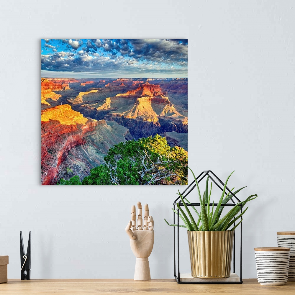 Morning Light At Grand Canyon Wall Art, Canvas Prints, Framed Prints ...