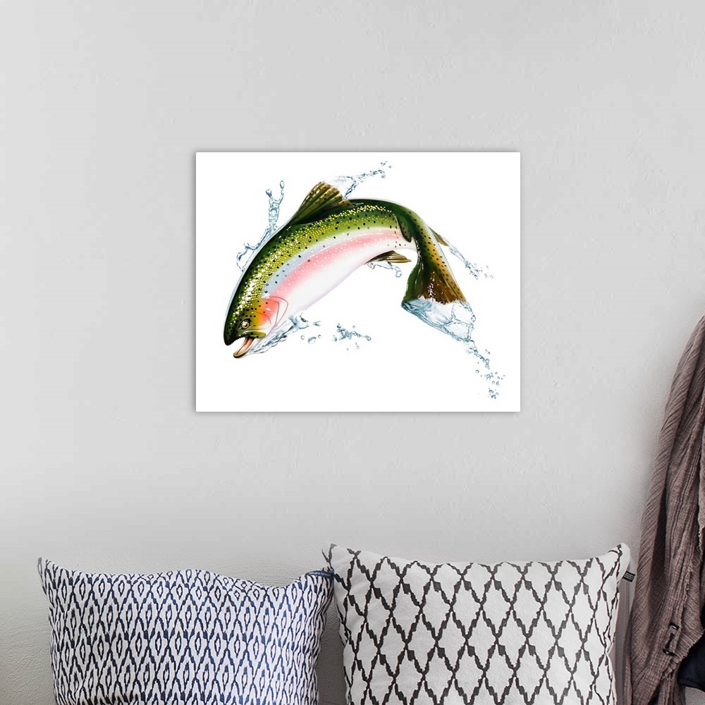 A bohemian room featuring A pink salmon jumping out of the water.