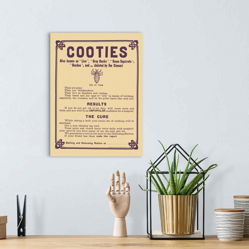 A bohemian room featuring American history poster shows a message creating awareness about the existence cooties.