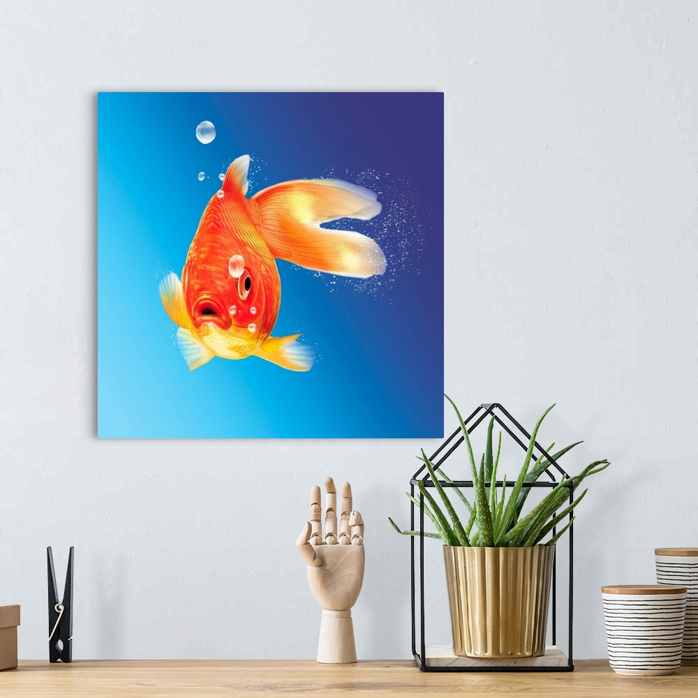 A bohemian room featuring Goldfish with water bubbles.