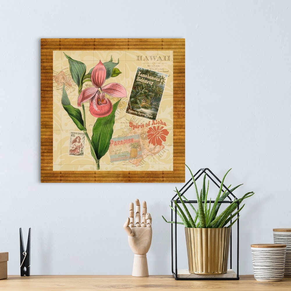 A bohemian room featuring Hawaiian-themed collection of vintage illustrations.