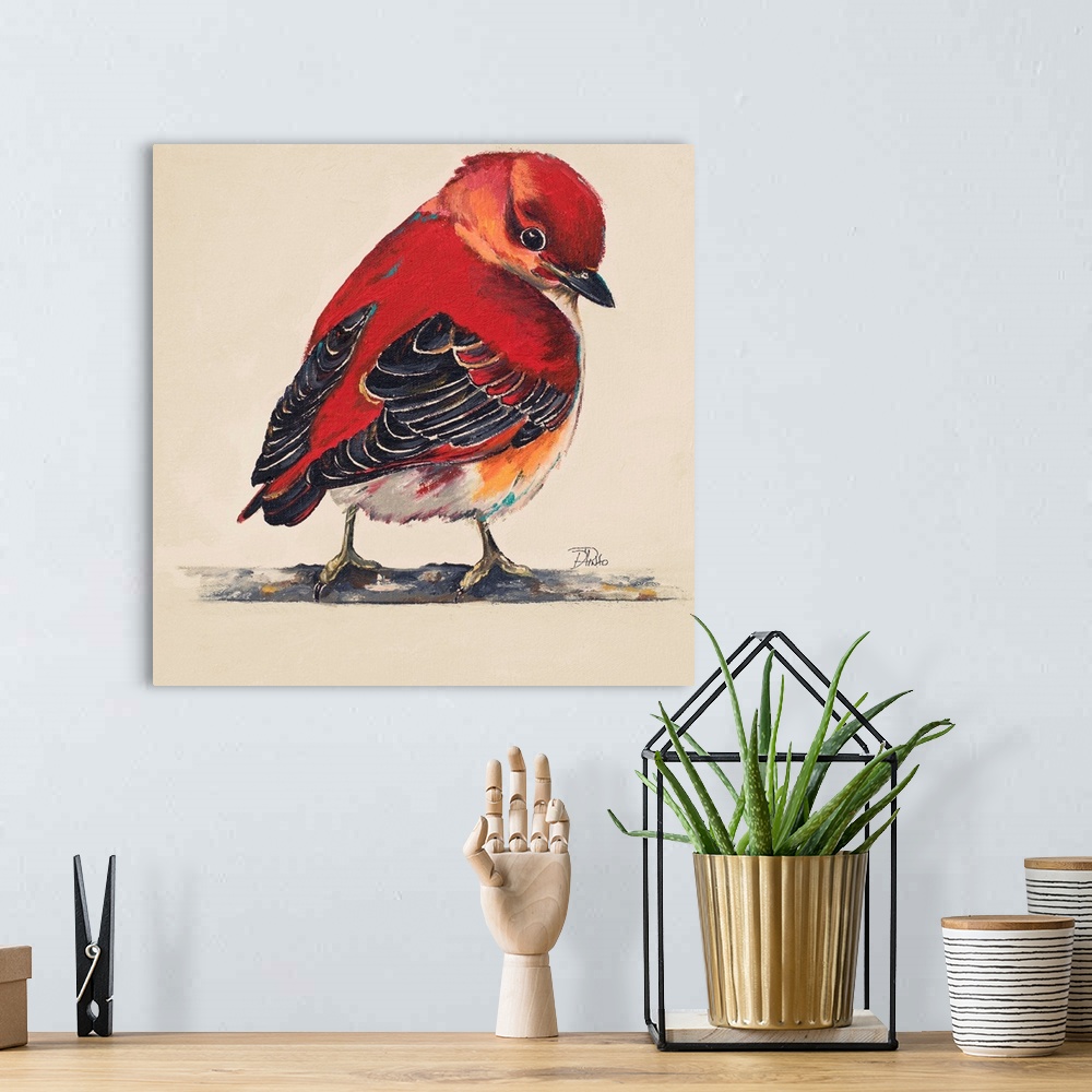 Baby Red Bird I Wall Art, Canvas Prints, Framed Prints, Wall Peels ...