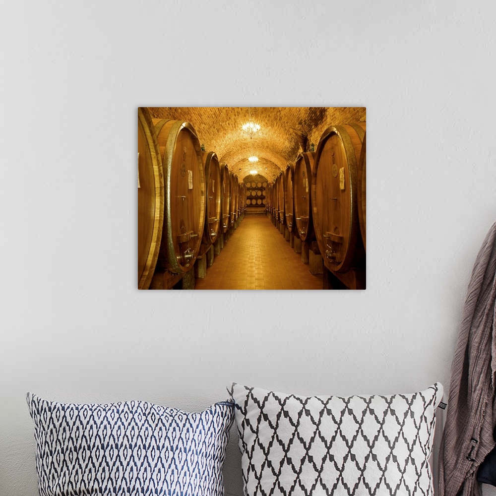 A bohemian room featuring This interior photograph looking down a corridor in a wine cellar filled with massive casks of wine.
