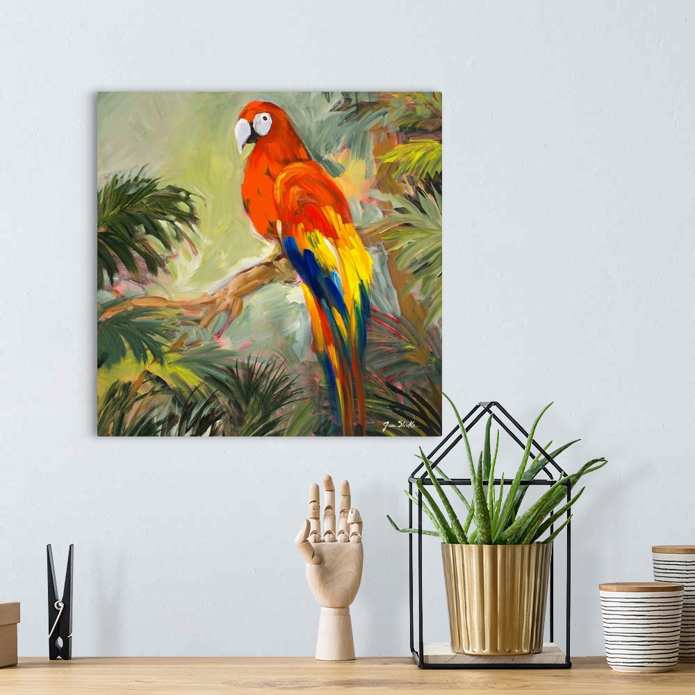 A bohemian room featuring Parrots at Bay I
