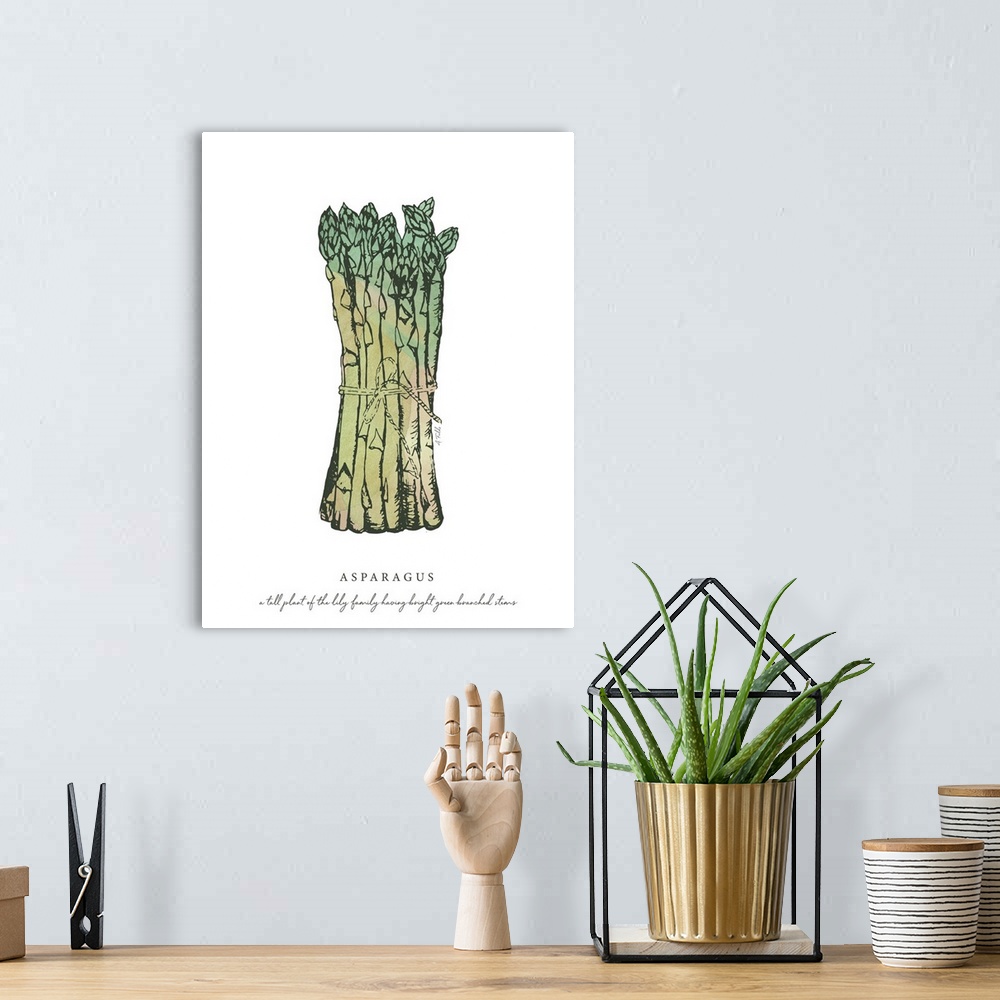 A bohemian room featuring Watercolor and Ink painting of asparagus with script fact.