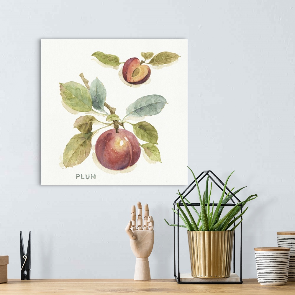 A bohemian room featuring Watercolor illustration of a plum hanging off a branch.