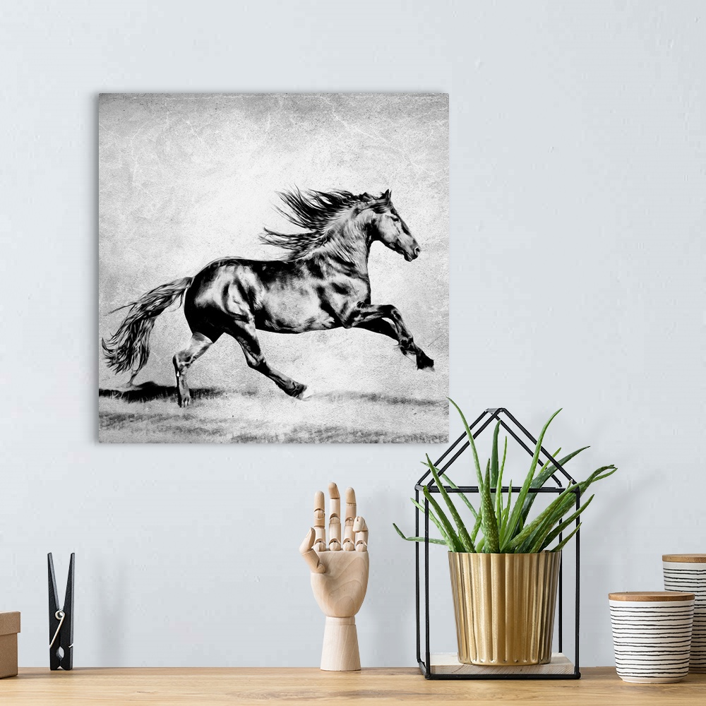 A bohemian room featuring Black and white photography of a black horse galloping in a field.