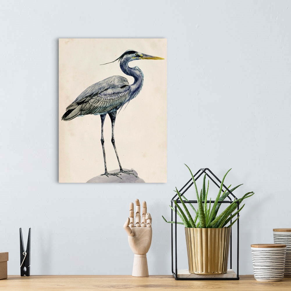 DiaNocheDesigns Heron On Canvas by Brazen Design Studio Print