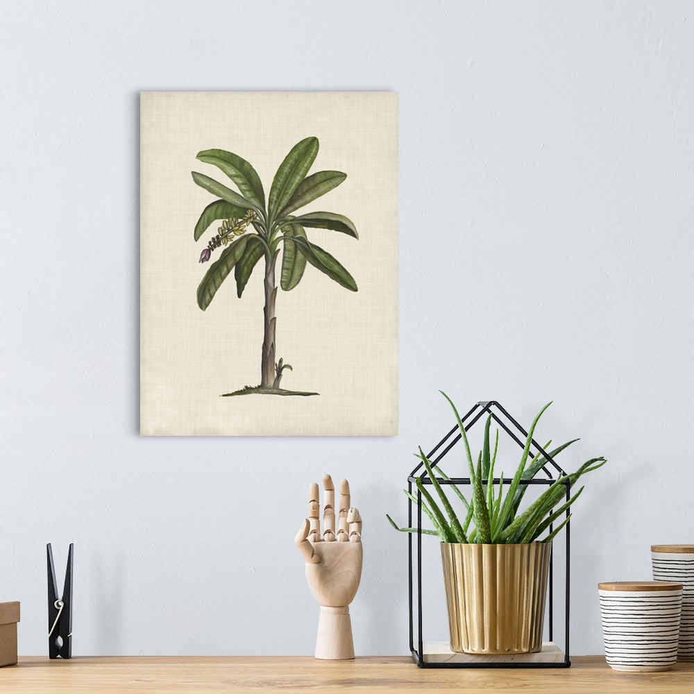 A bohemian room featuring British Palms II