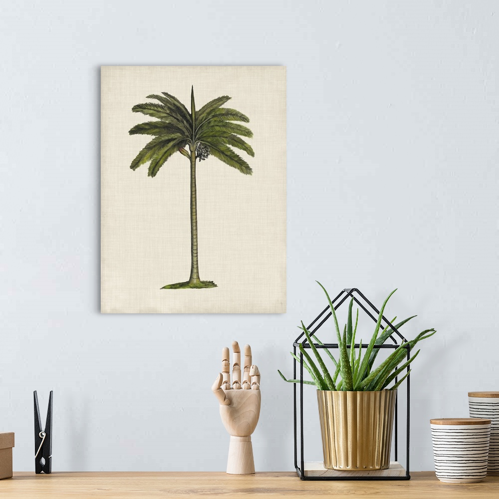 A bohemian room featuring British Palms IV