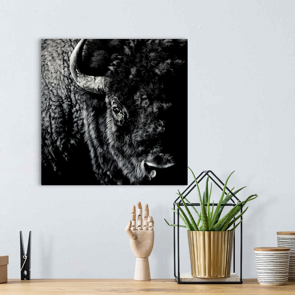 Enduring IV Scratchboard Art | Large Solid-Faced Canvas Wall Art Print | Great Big Canvas
