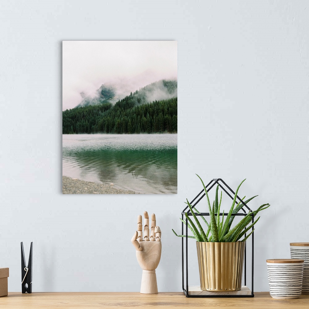 A bohemian room featuring A photograph of dense evergreen trees by the side of a clear lake interspersed with low clouds an...