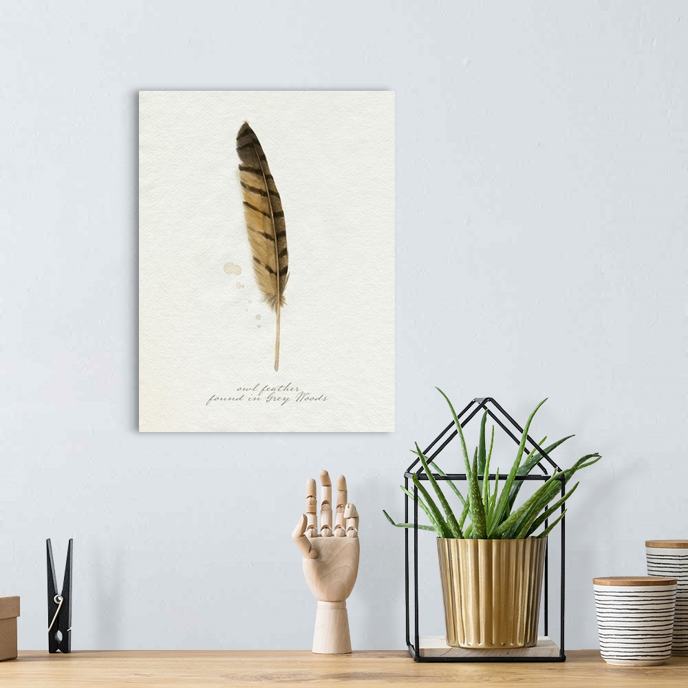A bohemian room featuring Found Feather III