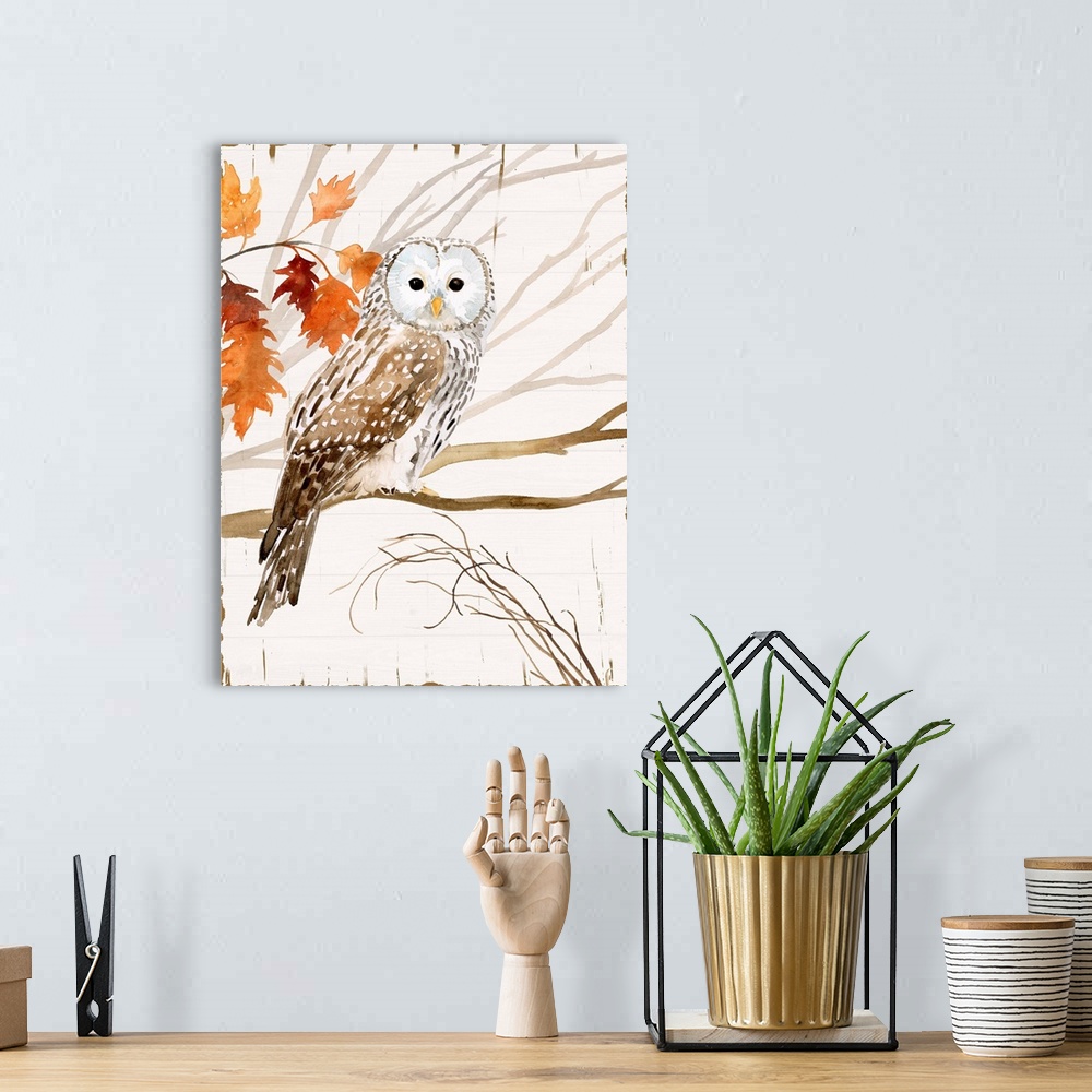 A bohemian room featuring Harvest Owl I
