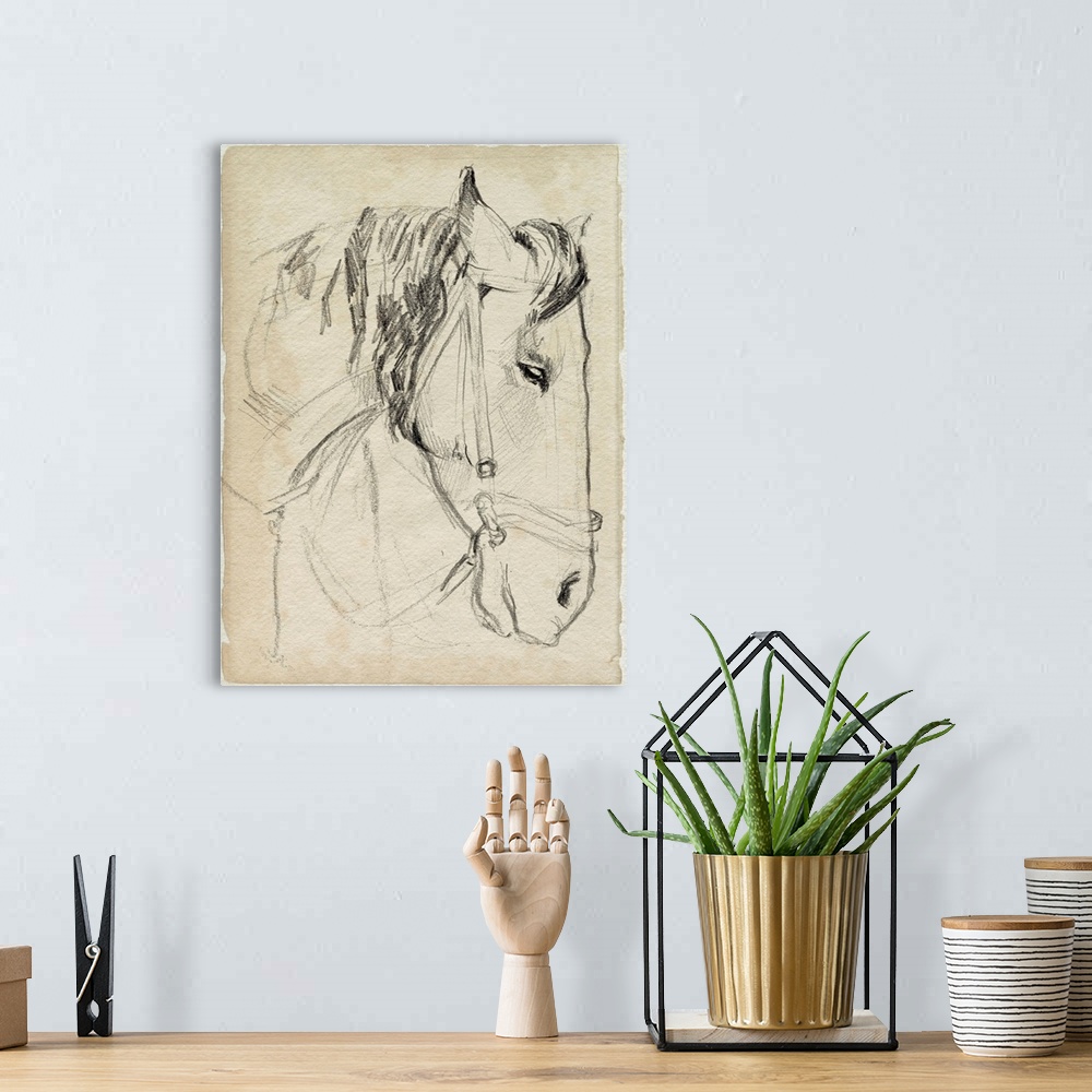 A bohemian room featuring Horse In Bridle Sketch I