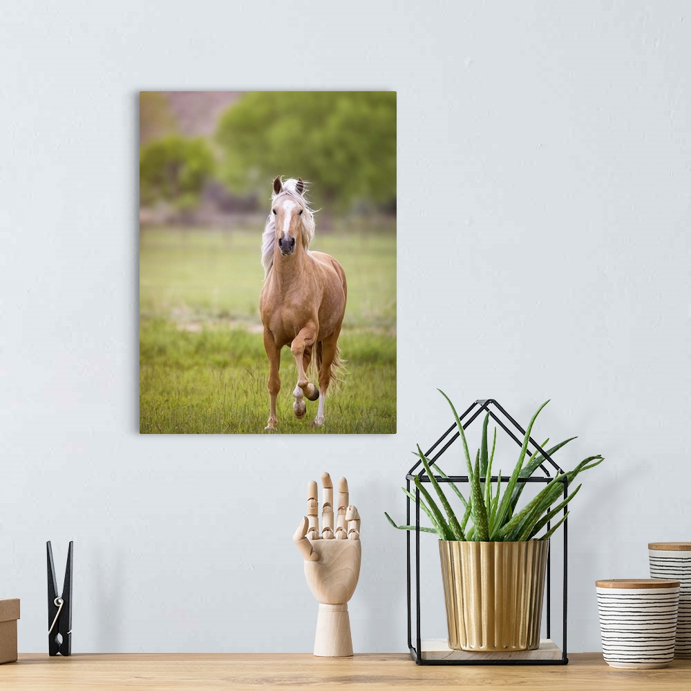 A bohemian room featuring A portrait of a brown horse standing in a green field.