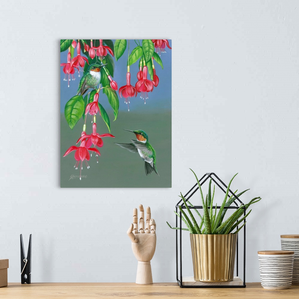 A bohemian room featuring Contemporary wildlife painting of two hummingbirds getting nectar from hanging fuchsia flowers.
