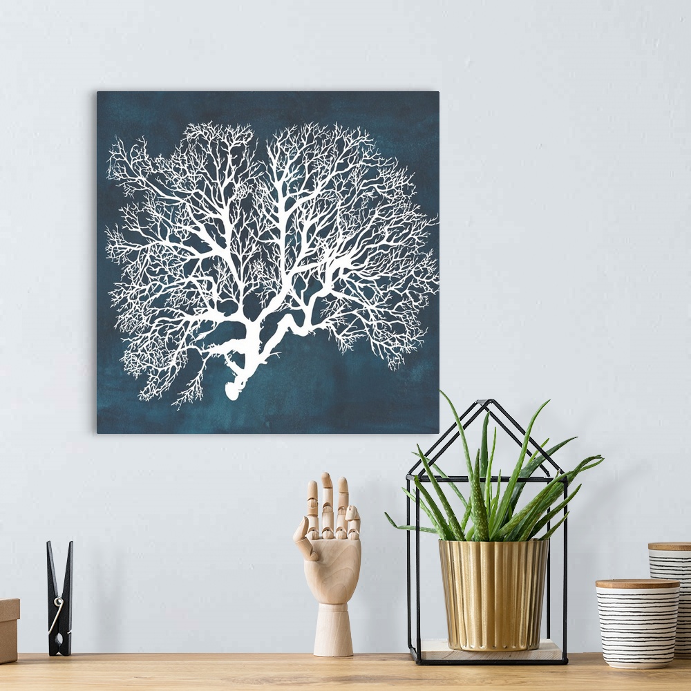 A bohemian room featuring Contemporary nautical themed artwork of a sea fan in white against a dark navy blue background.