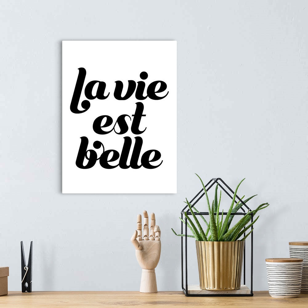 A bohemian room featuring Black and white typography that says, "La vie est belle" in black script on a white background.