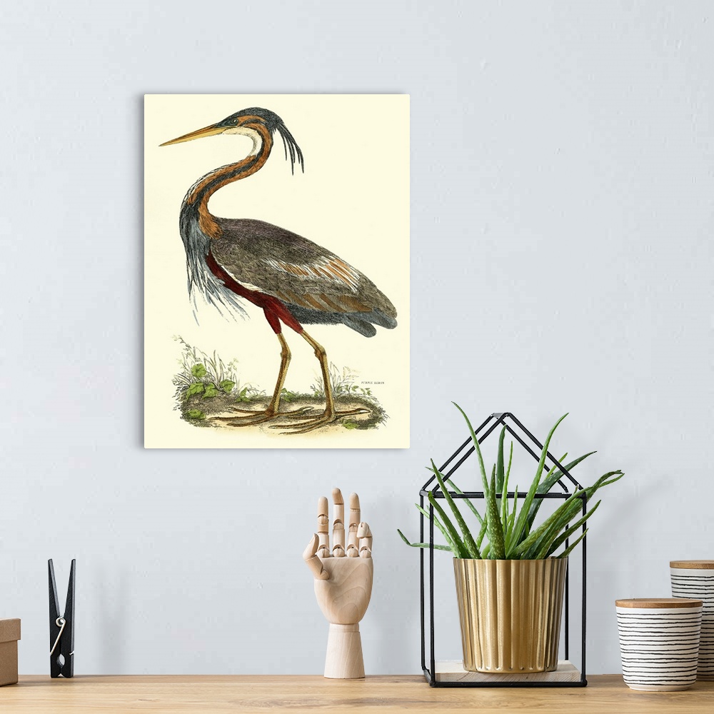 A bohemian room featuring Contemporary artwork of a vintage style bird illustration.