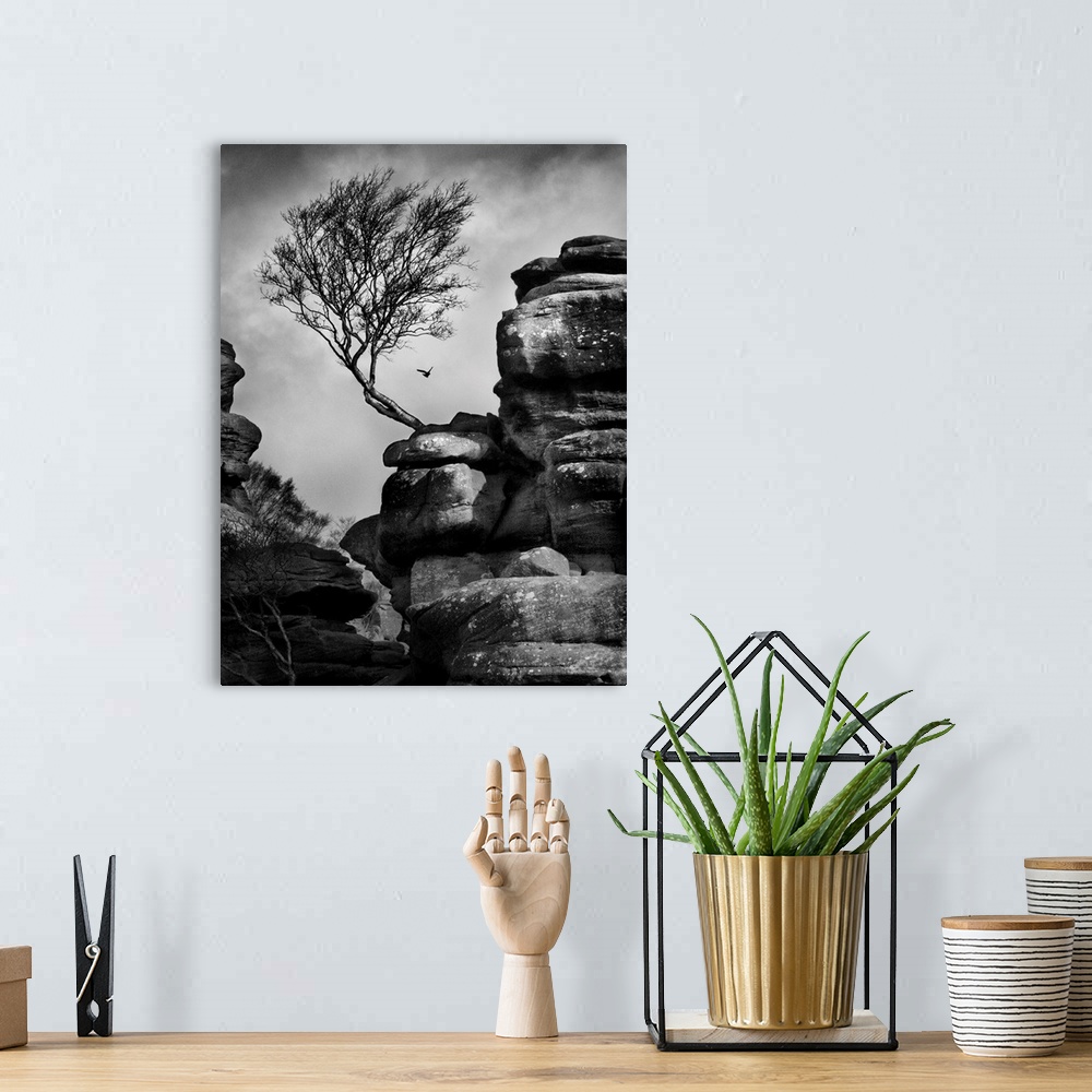 A bohemian room featuring A black and white photograph of a bent tree jetting out from a rock formation.