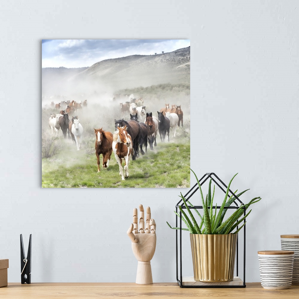 A bohemian room featuring Fine art photo of a herd of wild horses running across the plain.