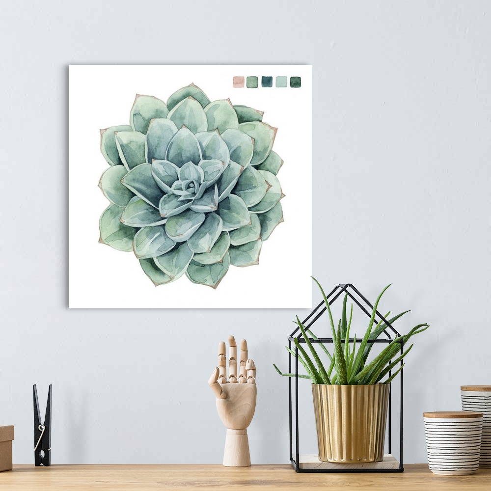 A bohemian room featuring Artwork of a succulent plant with color samples in the top corner.