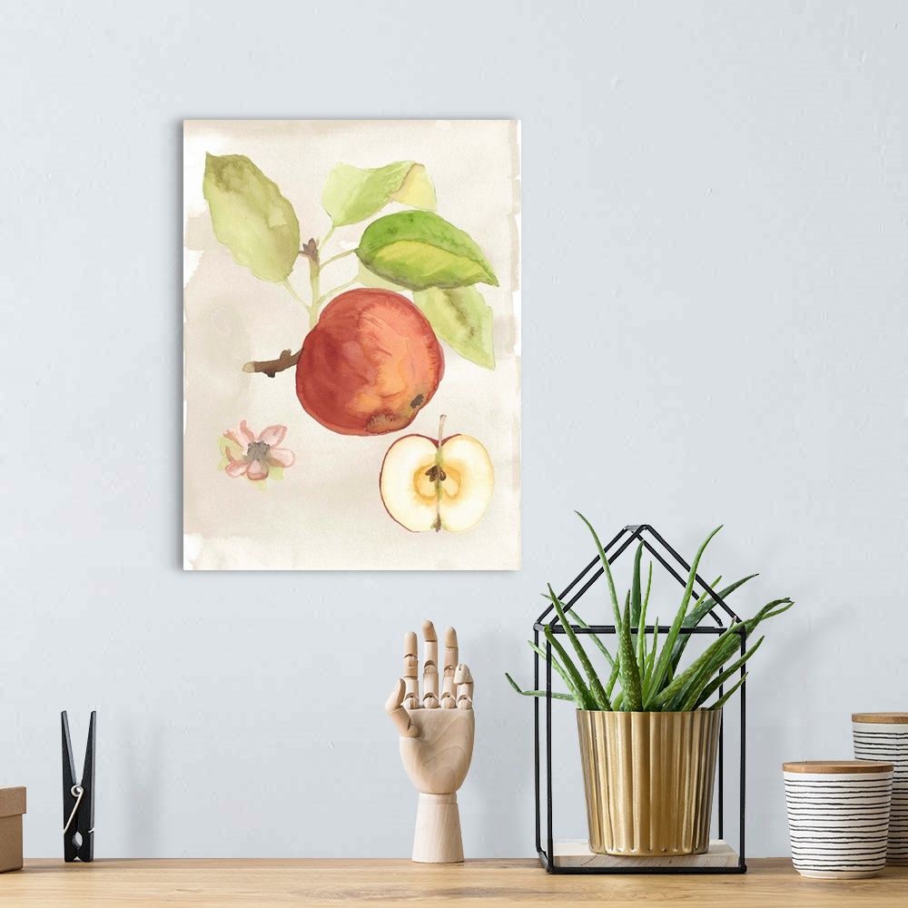A bohemian room featuring Contemporary watercolor painting of fruit.