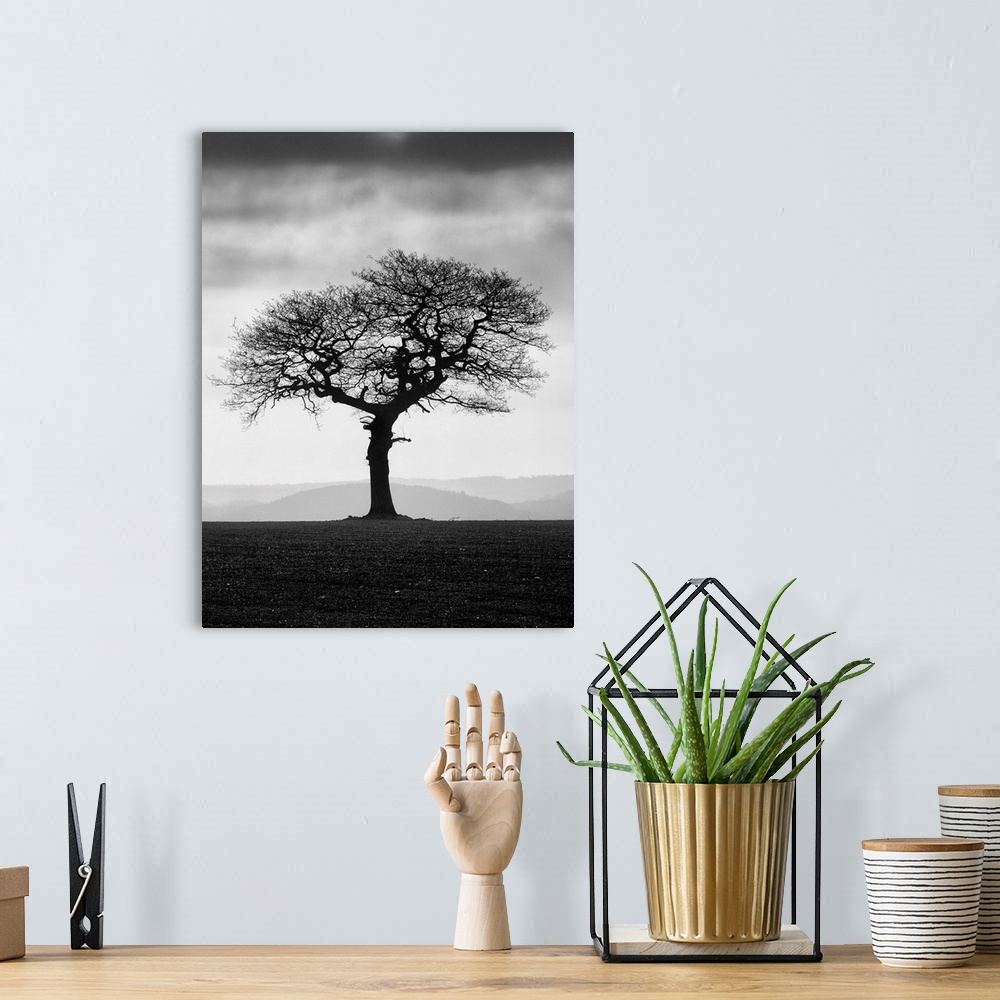 A bohemian room featuring A black and white photograph of a lone tree standing in a field with a fog covered landscape behi...
